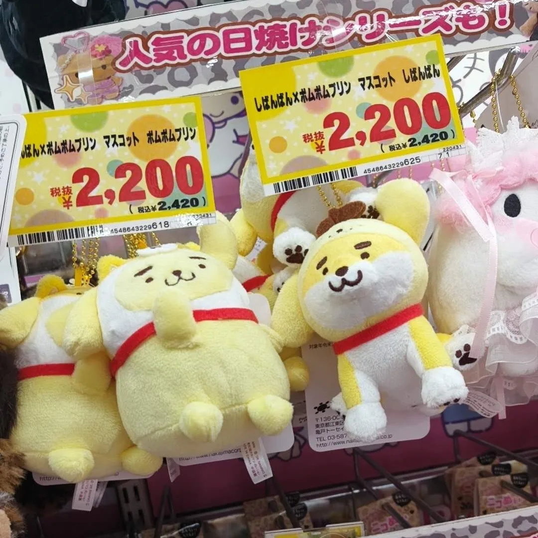 廠商預購 - 布丁狗柴犬
